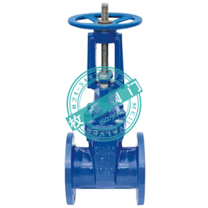 軟密封明桿彈性座封閘閥Z41X,RRHX 上海枚耶閥門 www.famen163.com圖片_高清圖_細(xì)節(jié)圖-上海枚耶閥門 -